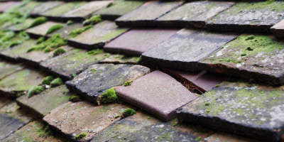 Hockley roof repair costs